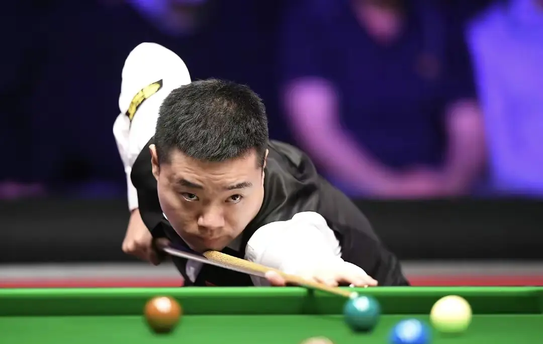 新星马乔被 新星马乔被